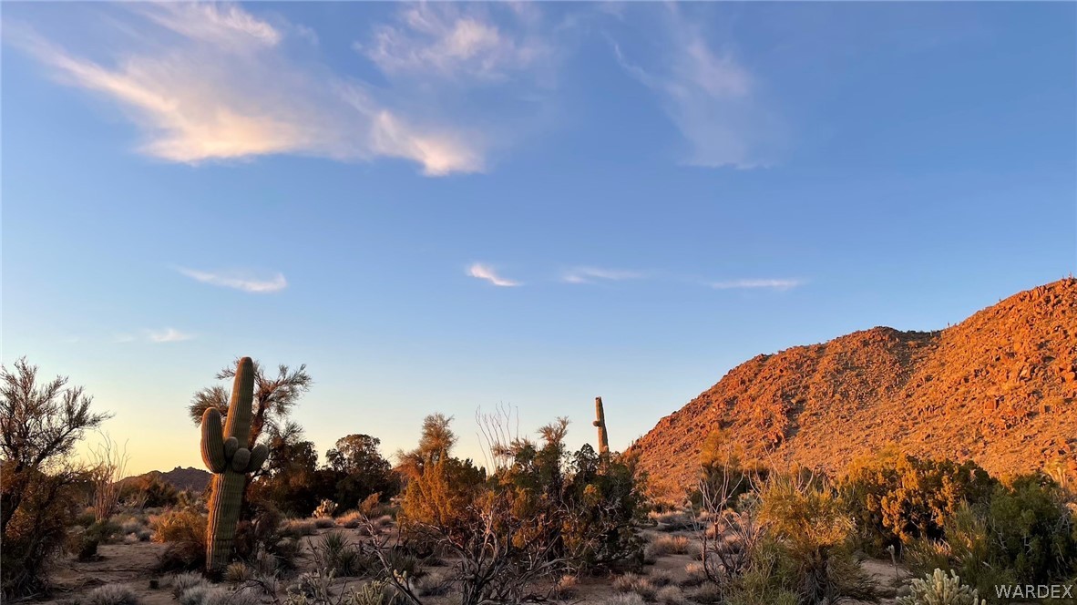 3296 Belle Star Road Yucca, AZ 86438 - Photo 6 of 56 Gallery Image 6