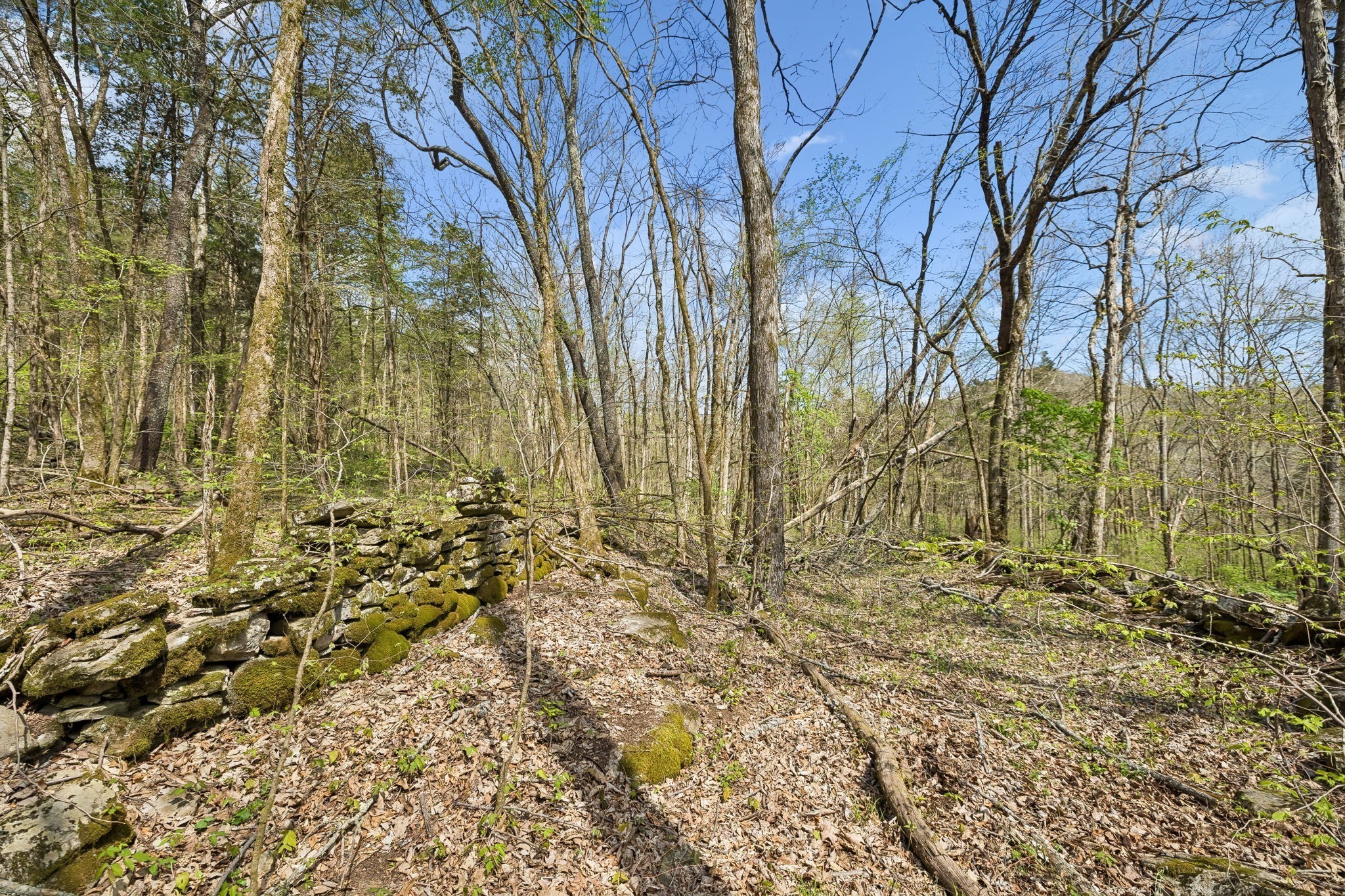 0 Turney Road Auburntown, TN 37016 - Photo 21 of 46 Gallery Image 21
