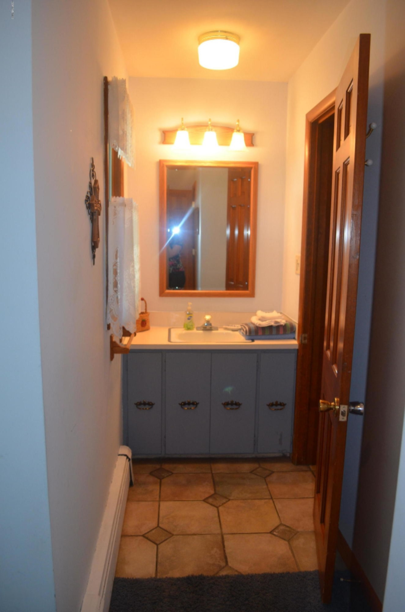 422 Poplar Street Colon, MI 49040 - Photo 47 of 78 DSC_0373