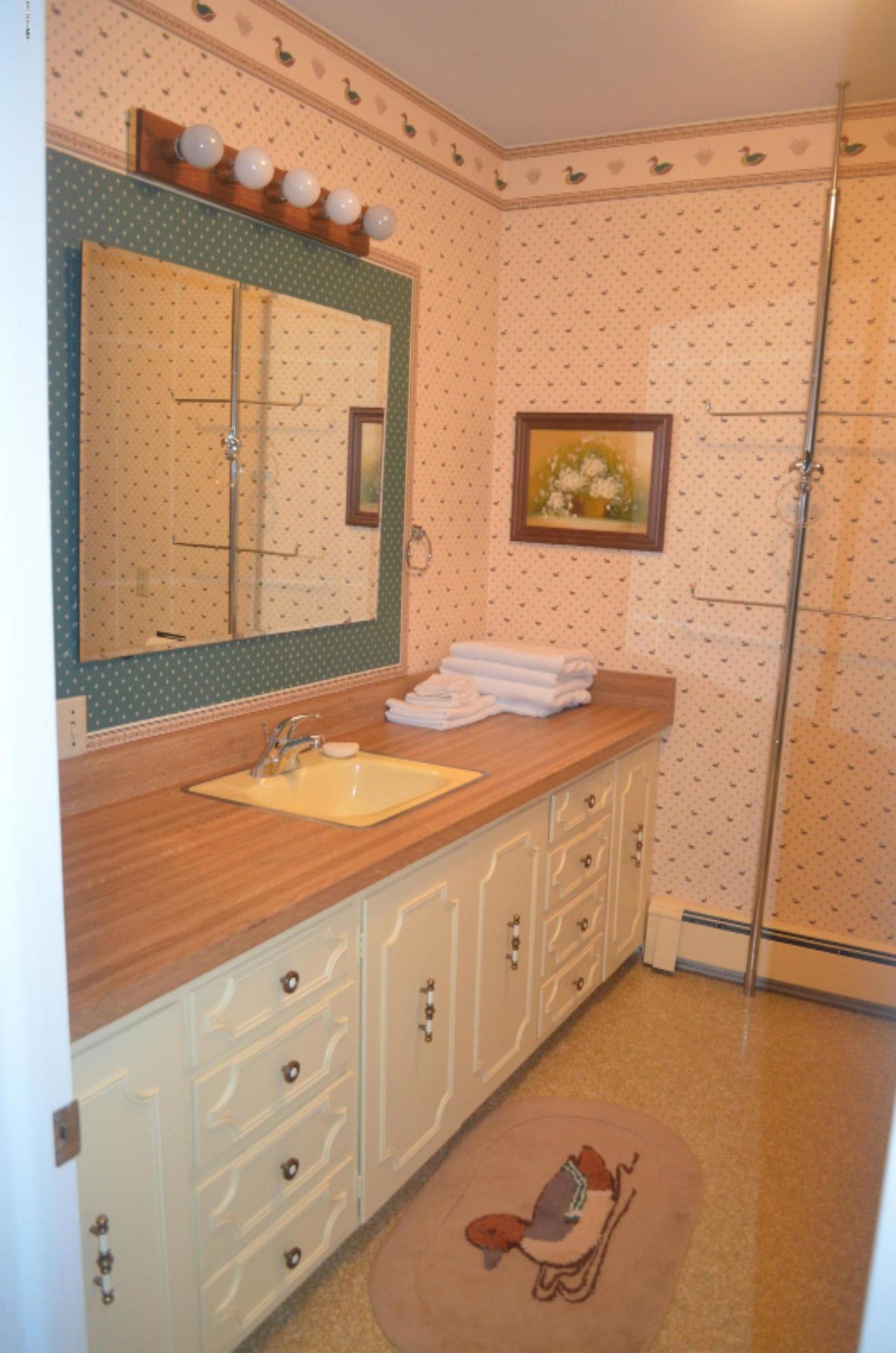 422 Poplar Street Colon, MI 49040 - Photo 66 of 78 DSC_0399