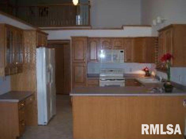 2 Lighthouse Lane Hampton, IL 61256 - Photo 3 of 9 Gallery Image 3