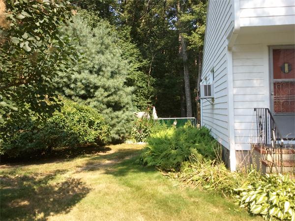9 Roberta Road Sharon, MA 02067 - Photo 4 of 18 Gallery Image 4