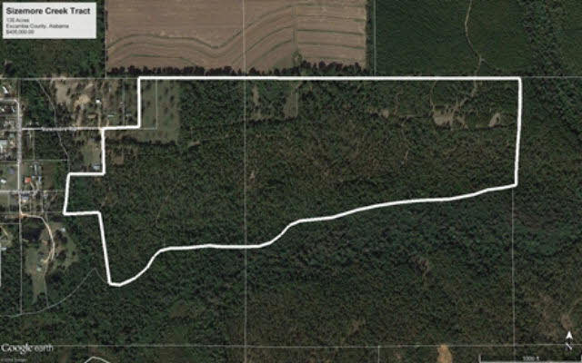 0 Sizemore Road Atmore, AL 36502 - Photo 1 of 1