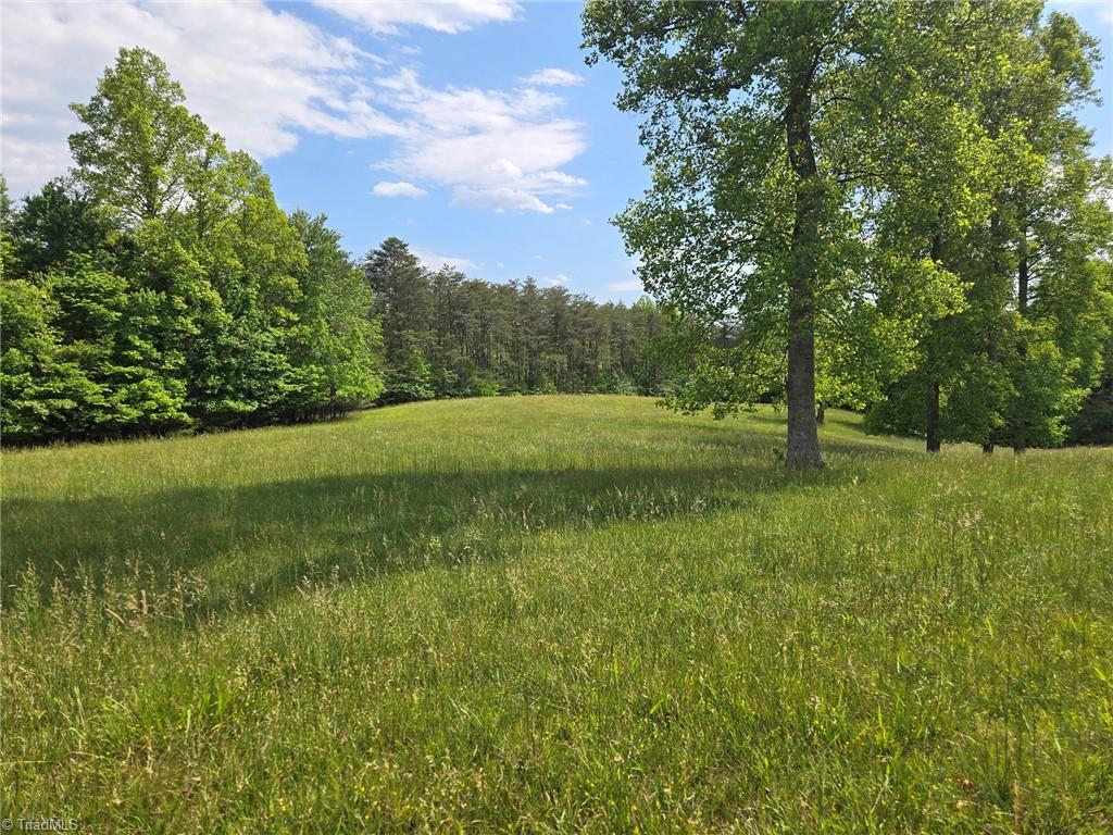 1984 Horseshoe Road Westfield, NC 27053 - Photo 45 of 47