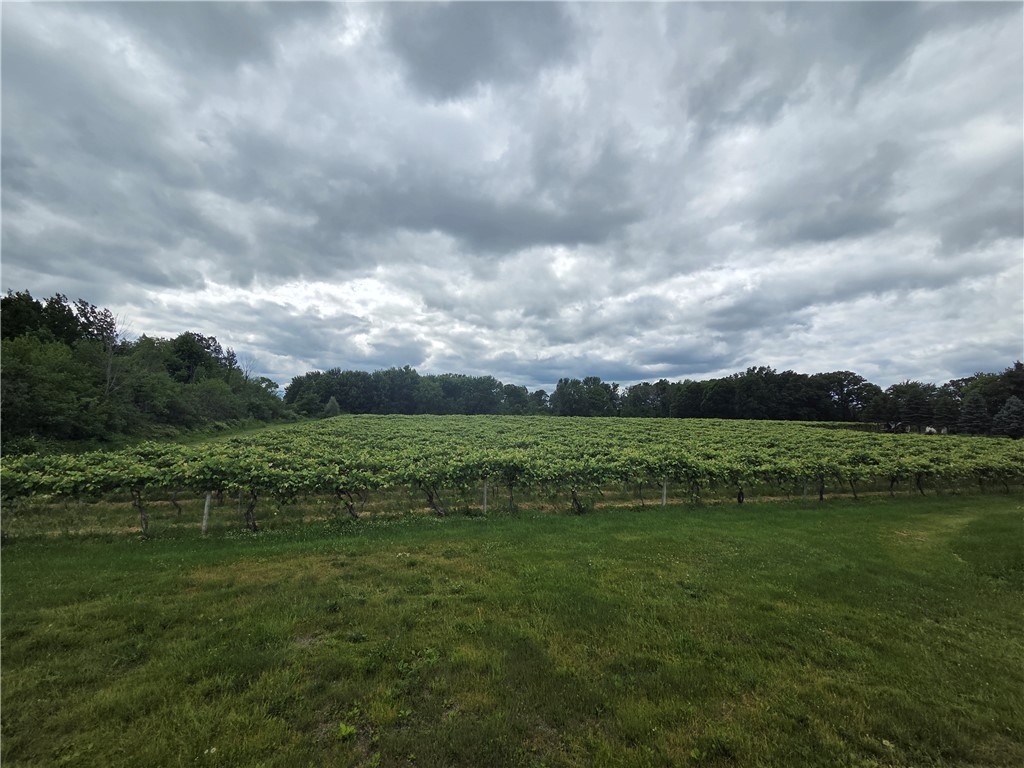 Sutton Road Penn Yan, NY 14527 - Photo 6 of 46 Gallery Image 6