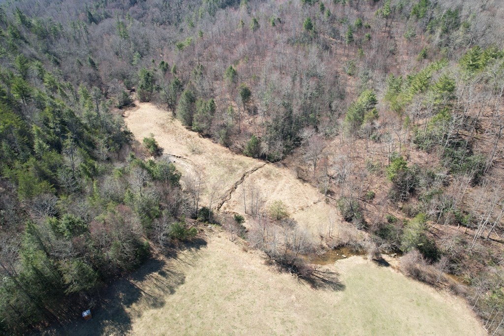Tbd Tbd Pine Grove Road Austinville, VA 24312 - Photo 18 of 26 Gallery Image 18