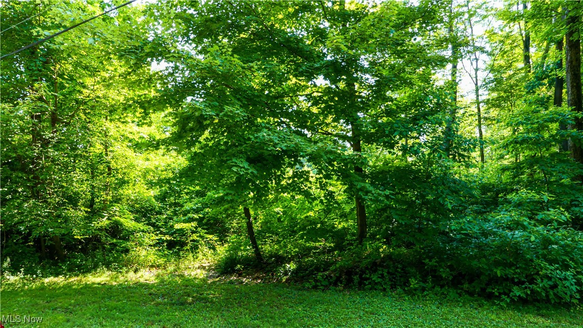 Fenstermaker Road Garrettsville, OH 44231 - Photo 1 of 31 Gallery Image 1