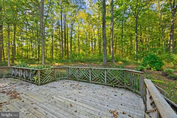 a view of a field with plants and trees