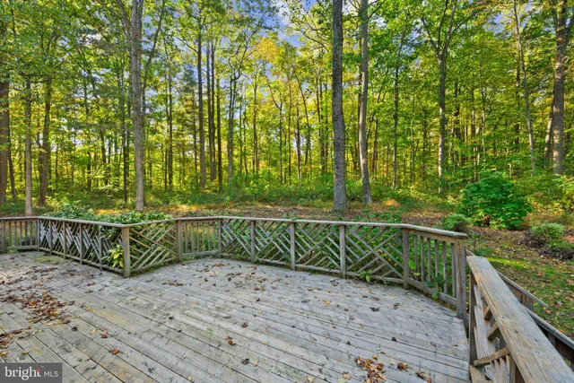 a view of a field with plants and trees