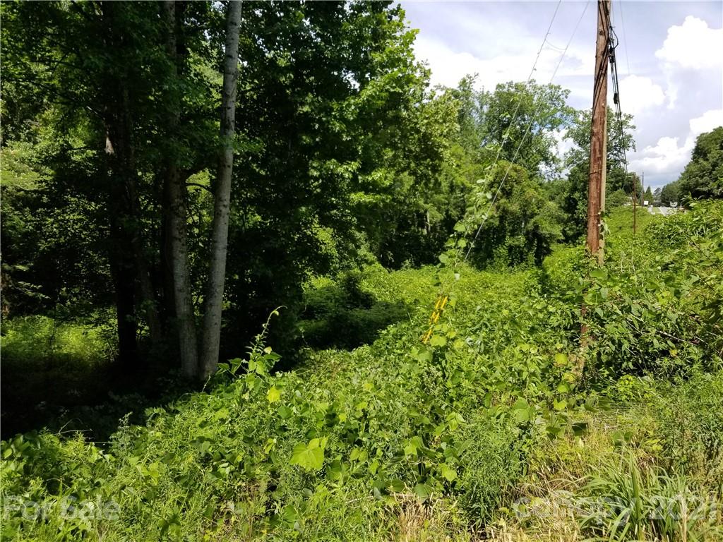 5.3 Ac Highway Mill Spring, NC 28756 - Photo 12 of 13 Gallery Image 12