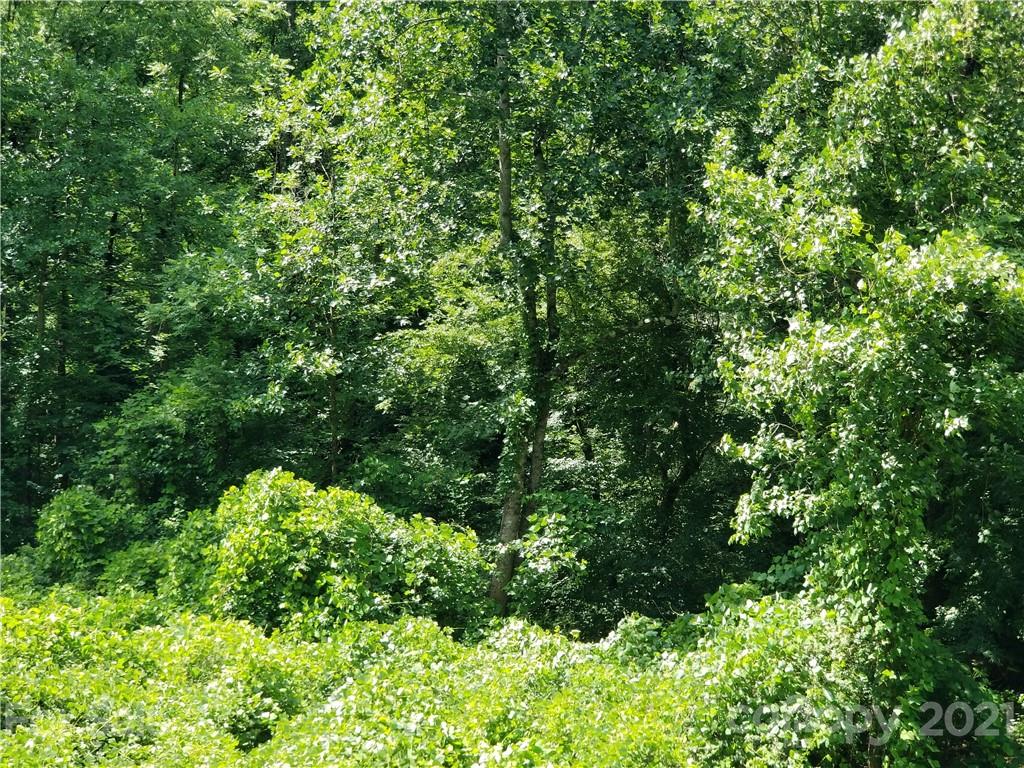 5.3 Ac Highway Mill Spring, NC 28756 - Photo 8 of 13 Gallery Image 8