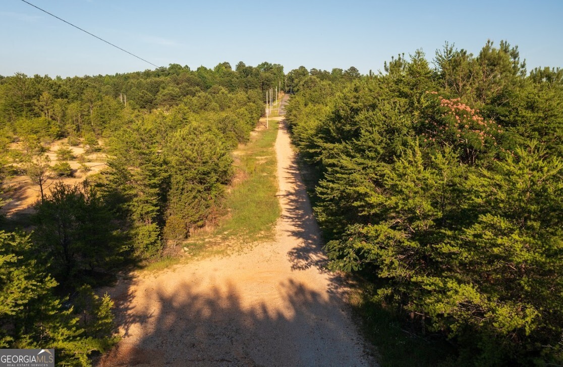 0 Gilmore Mine Road, Unit TRACT A/B Cottondale, AL 35453 - Photo 8 of 18