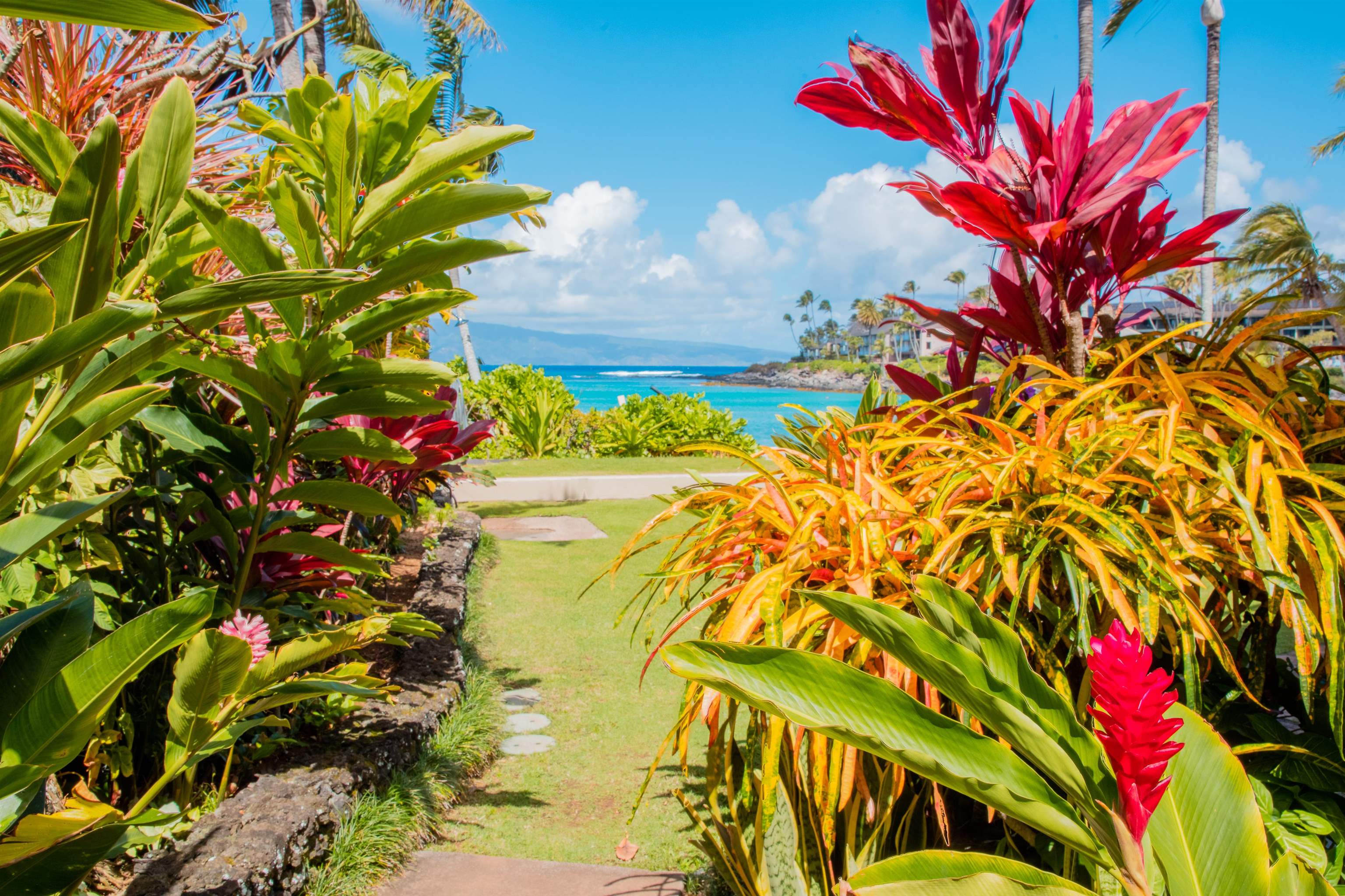 4310 Lower Honoapiilani Road, Unit 302 Lahaina, HI 96761 - Photo 39 of 50 a view of a flower