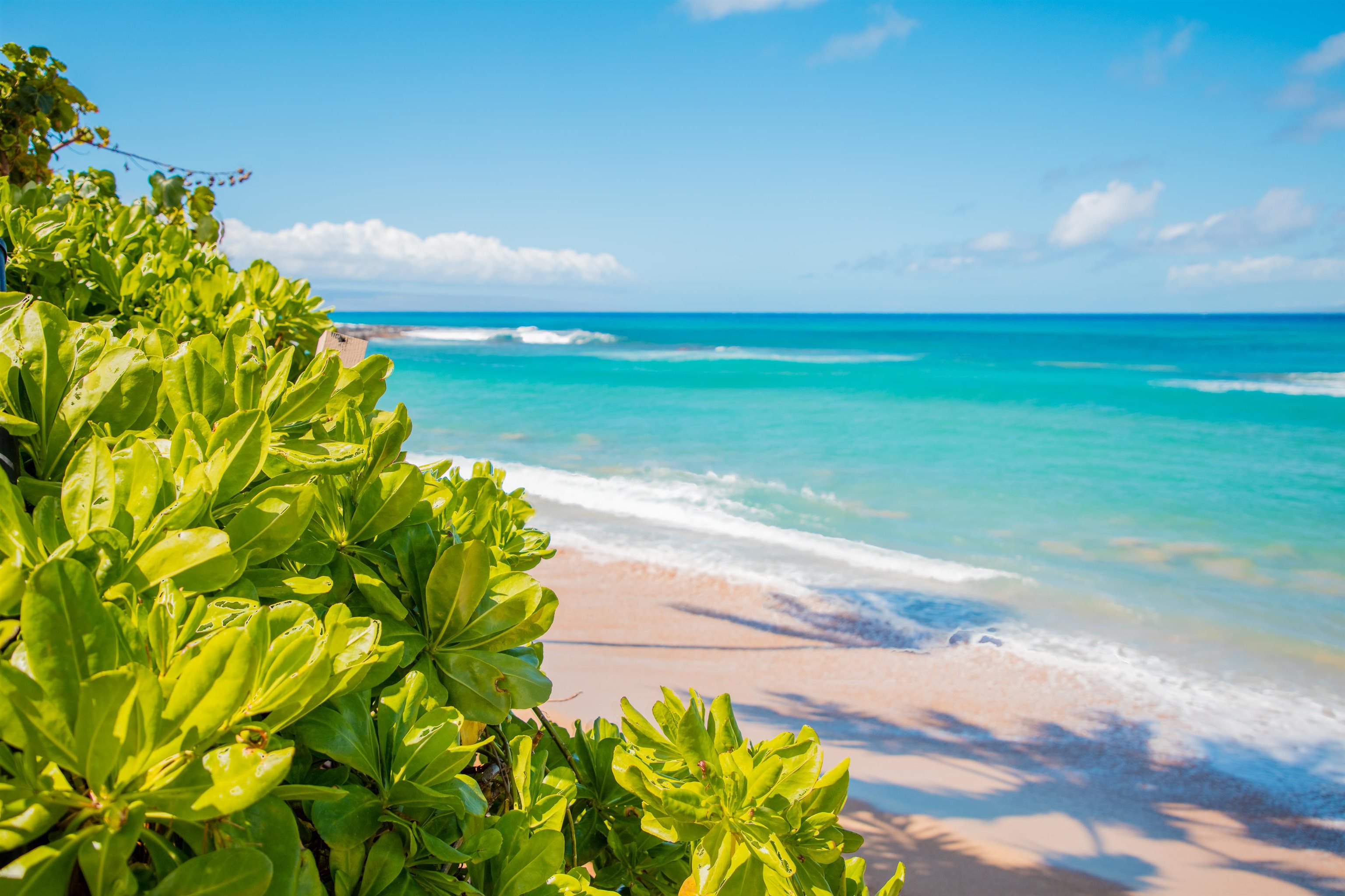 4310 Lower Honoapiilani Road, Unit 302 Lahaina, HI 96761 - Photo 40 of 50