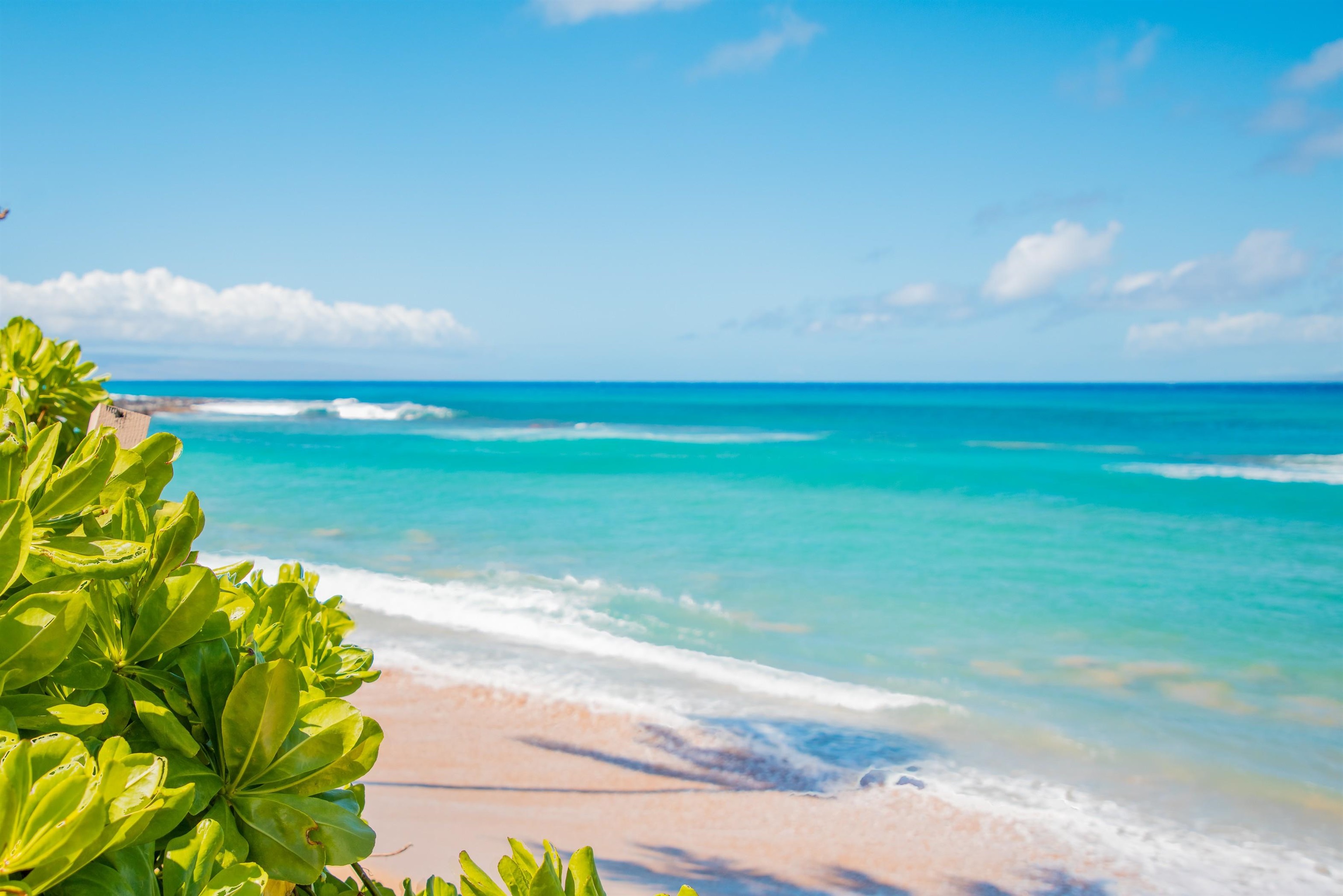 4310 Lower Honoapiilani Road, Unit 302 Lahaina, HI 96761 - Photo 4 of 50 a view of a big yard