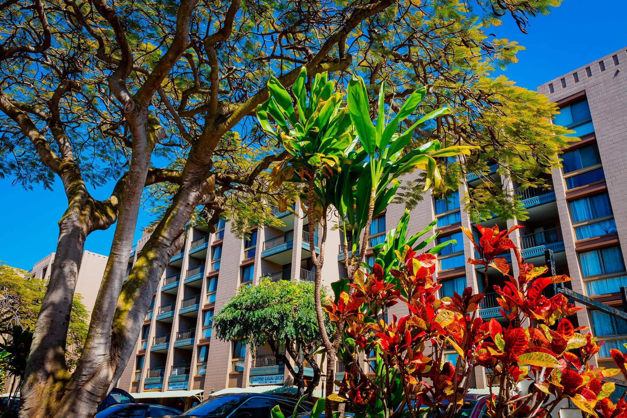 4310 Lower Honoapiilani Road, Unit 302 Lahaina, HI 96761 - Photo 46 of 50 a view of building with yard and staircase
