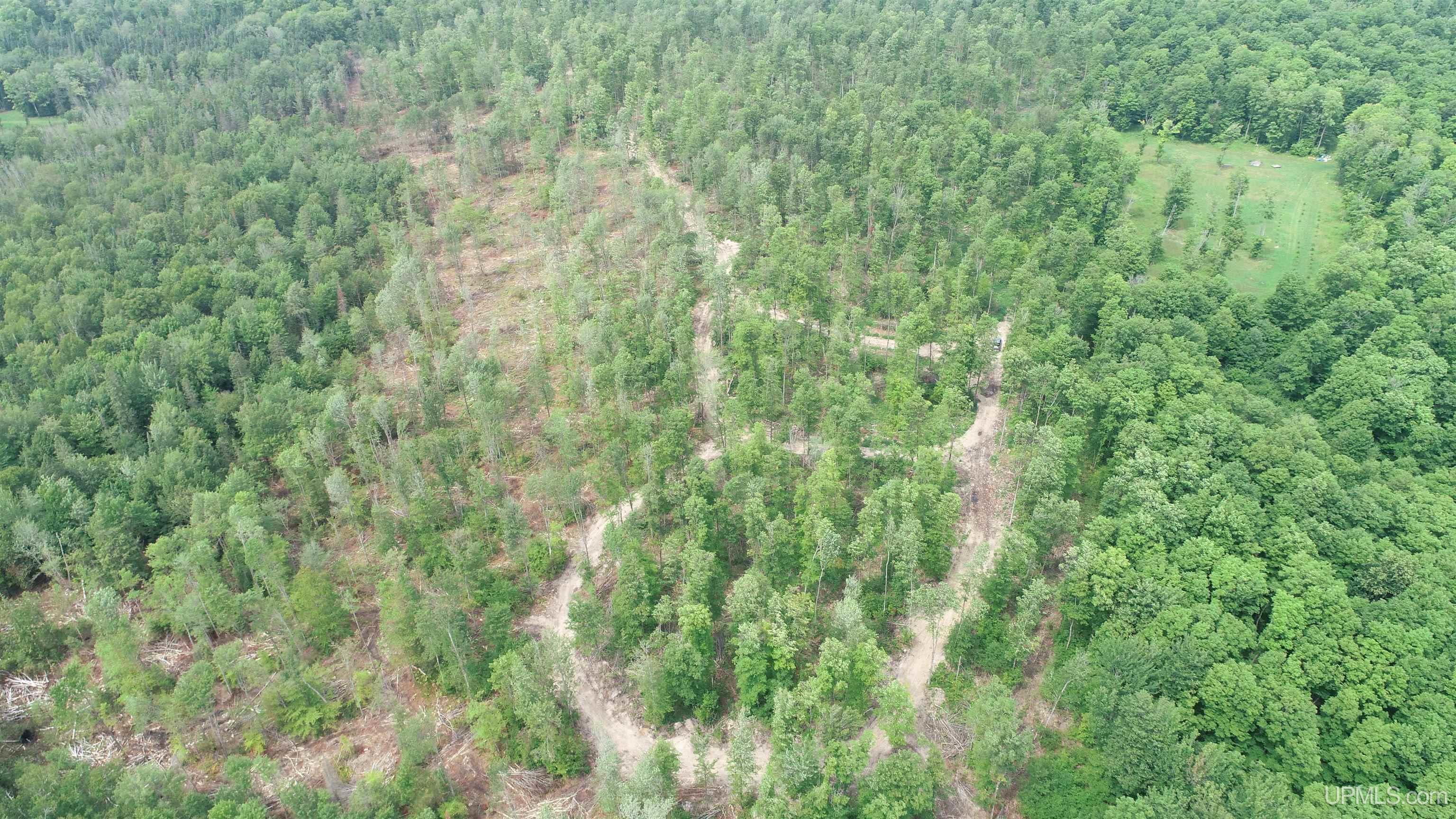 23 Camp 23 Road, Unit SOUTH PARCEL Germfask, MI 49836 - Photo 6 of 9