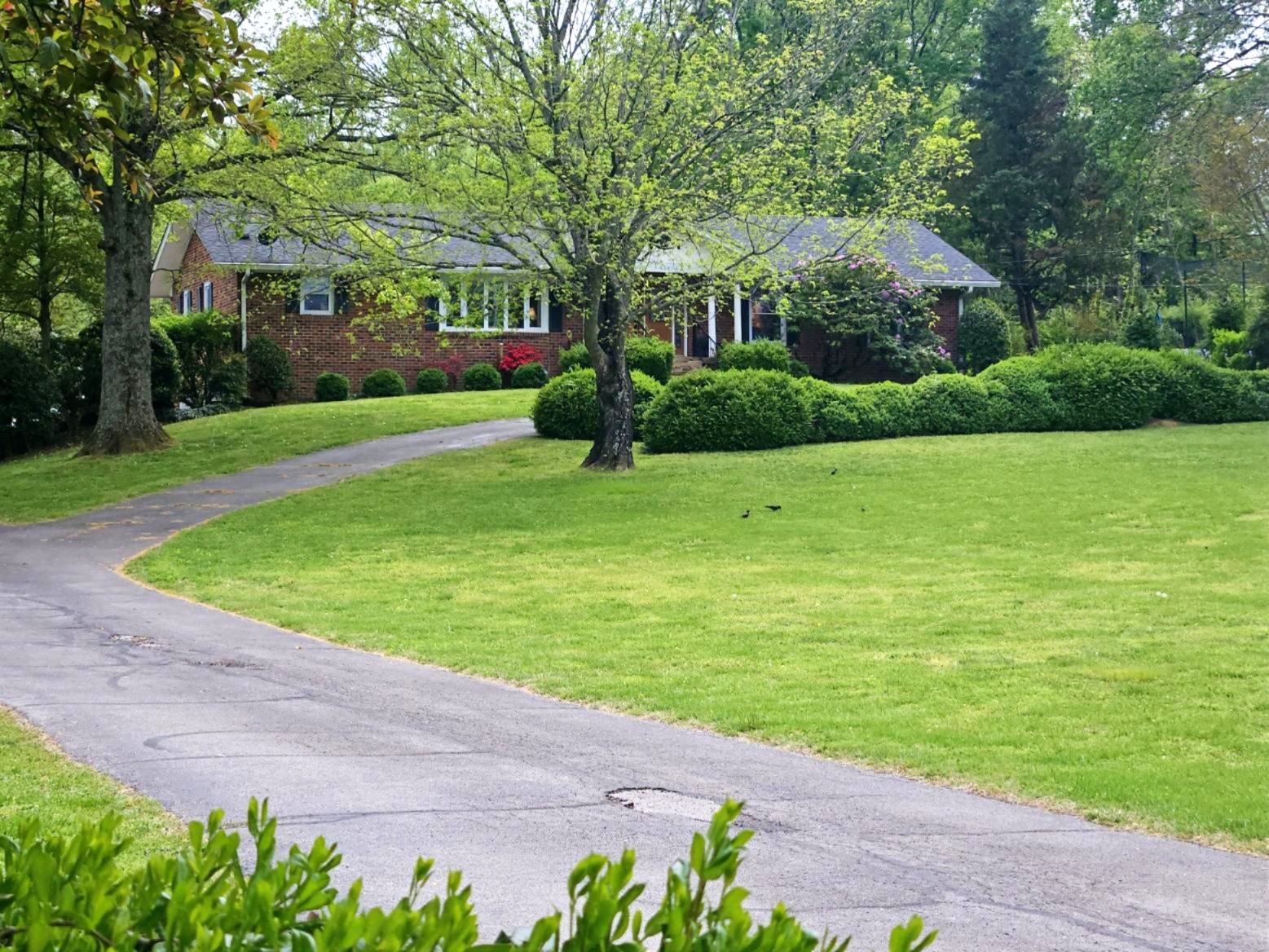 6629 Arno-College Grove Road College Grove, TN 37046 - Photo 1 of 41