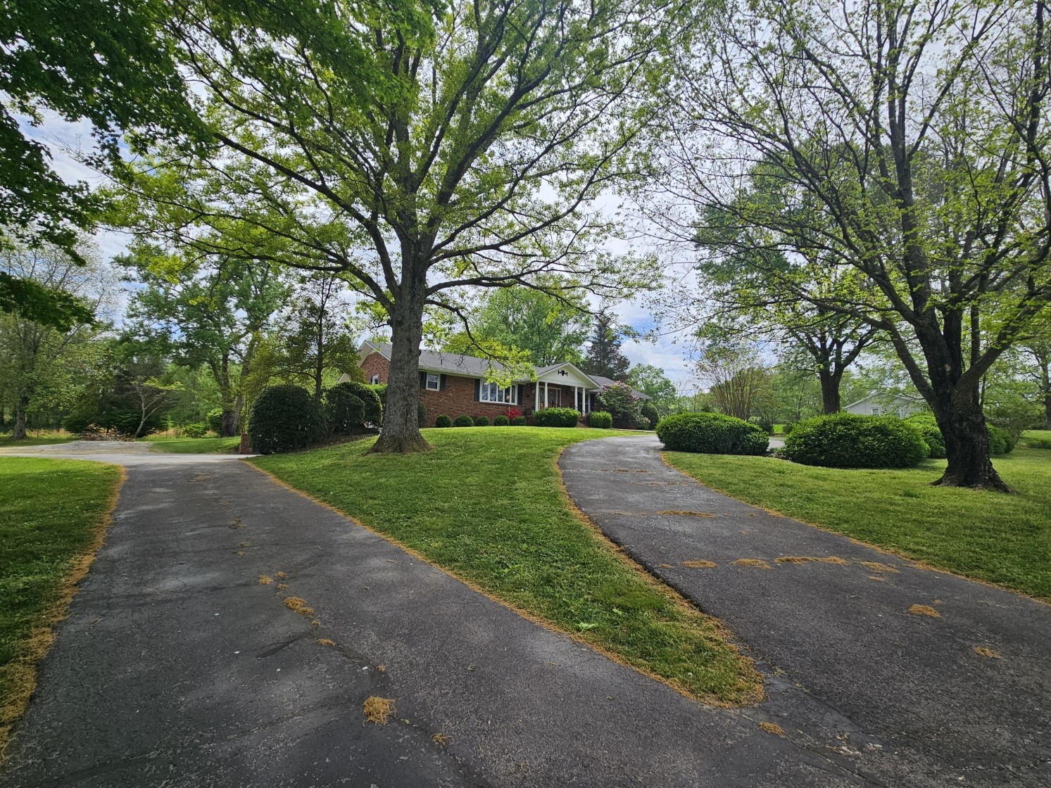 6629 Arno-College Grove Road College Grove, TN 37046 - Photo 4 of 41