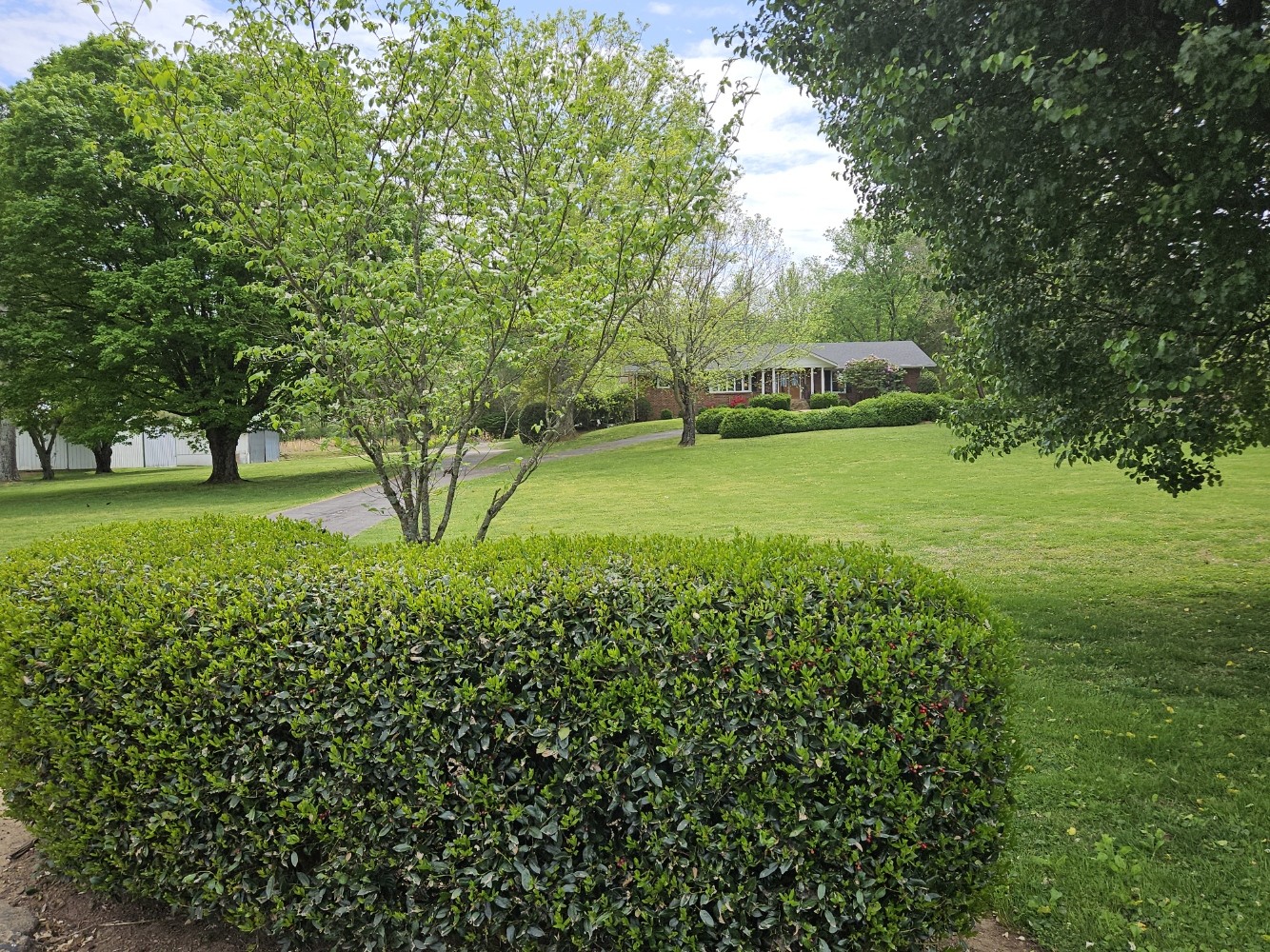 6629 Arno-College Grove Road College Grove, TN 37046 - Photo 5 of 41