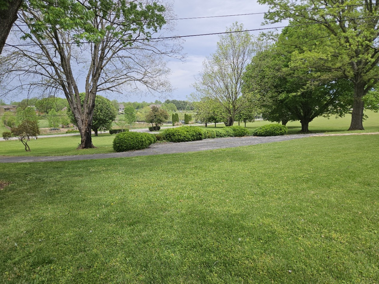 6629 Arno-College Grove Road College Grove, TN 37046 - Photo 6 of 41
