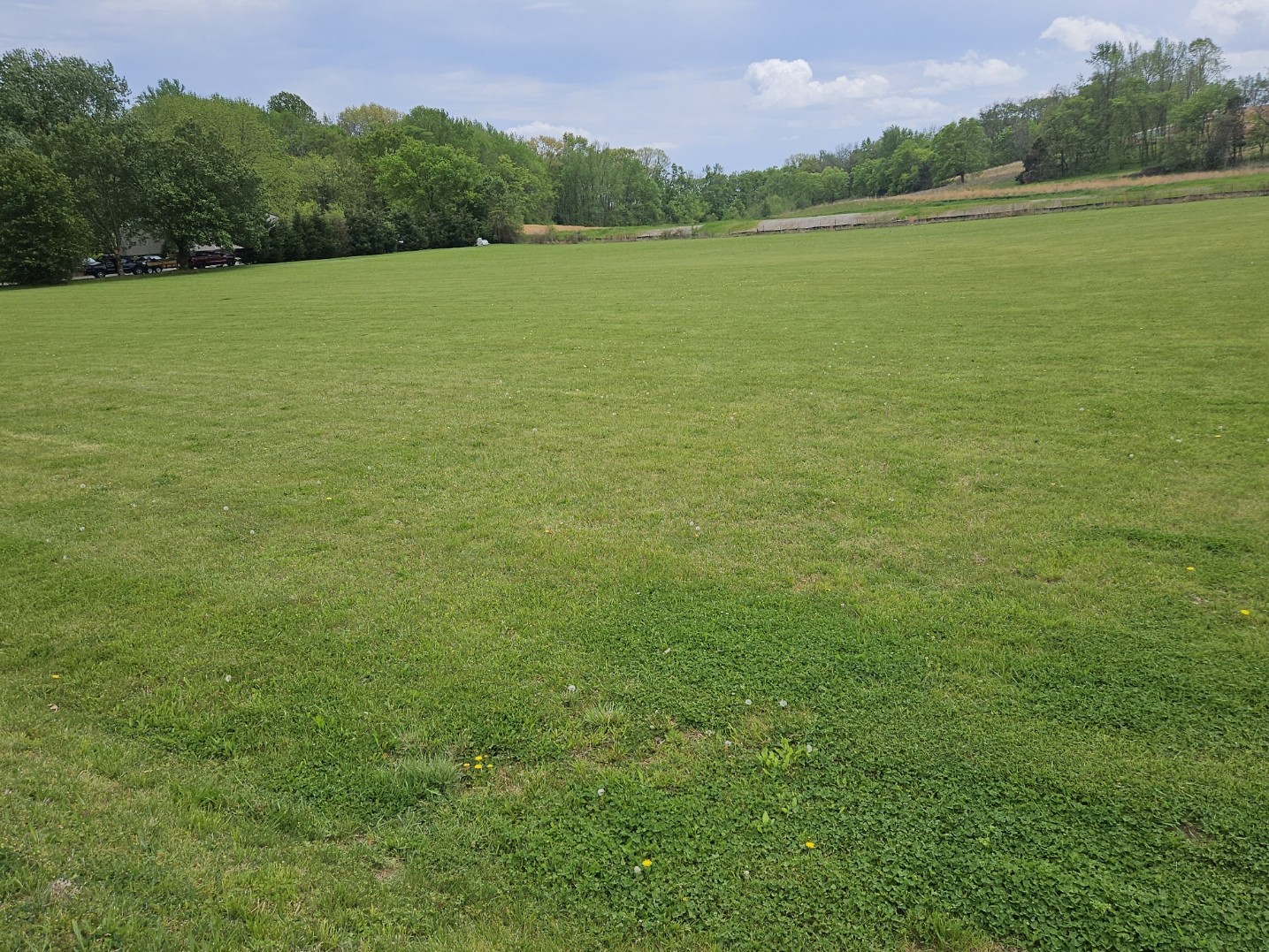 6629 Arno-College Grove Road College Grove, TN 37046 - Photo 8 of 41