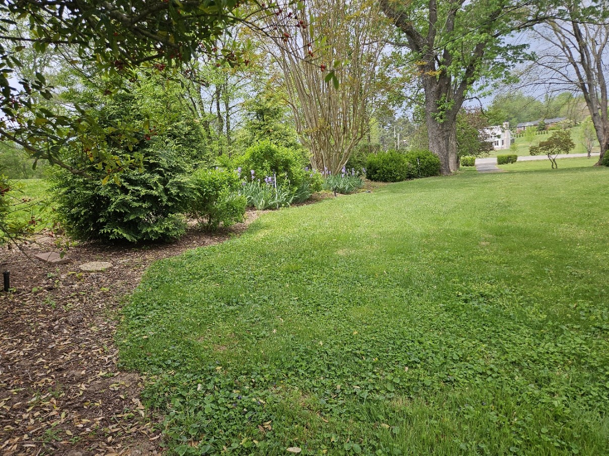 6629 Arno-College Grove Road College Grove, TN 37046 - Photo 9 of 41