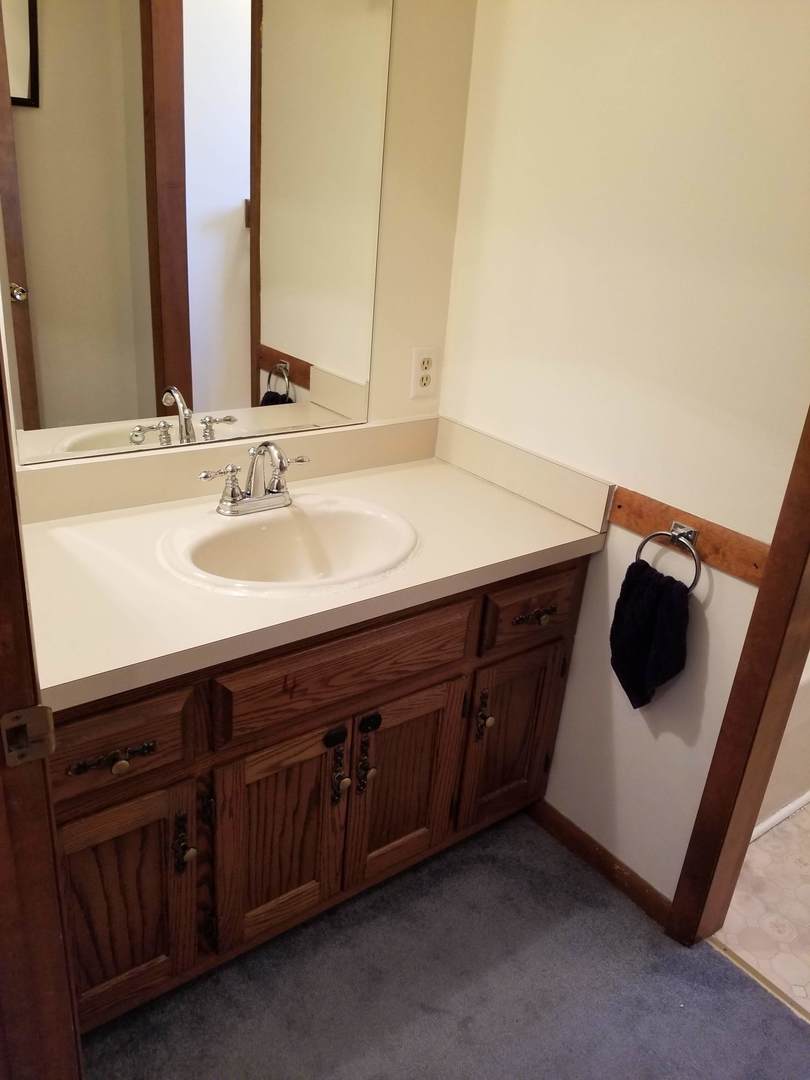 707 South Raven Road Shorewood, IL 60404 - Photo 13 of 18