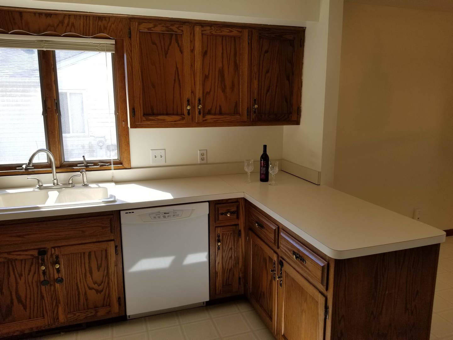 707 South Raven Road Shorewood, IL 60404 - Photo 4 of 18
