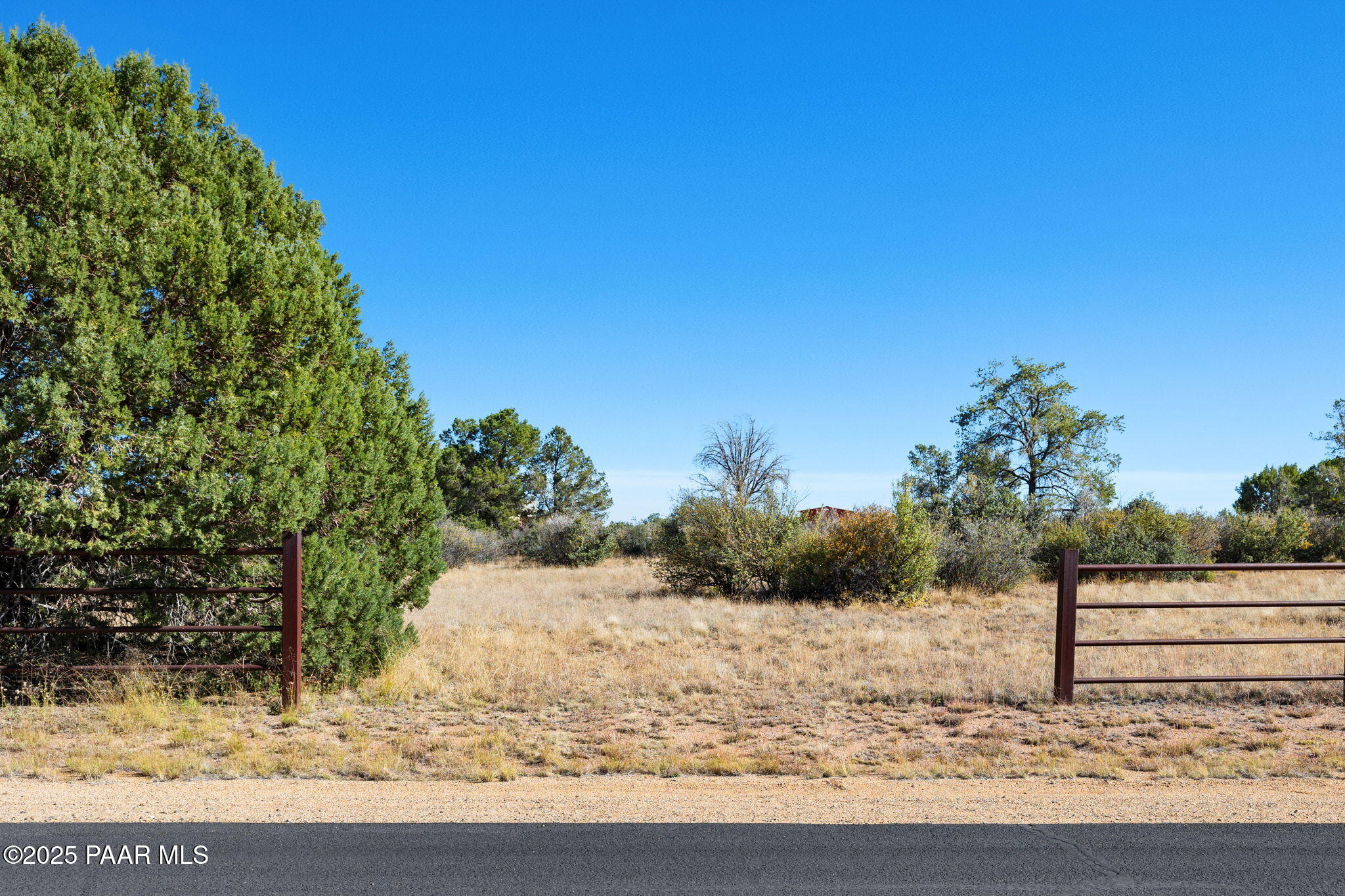 9515 North Equine Road Prescott, AZ 86305 - Photo 20 of 51 a view of a yard
