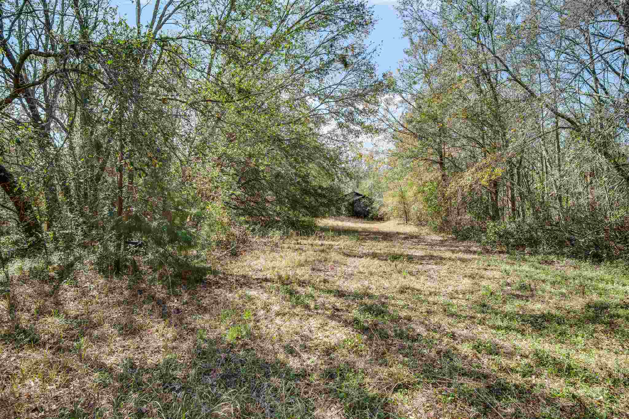 0 Worcester Drive Fairhope, AL 36532 - Photo 4 of 5