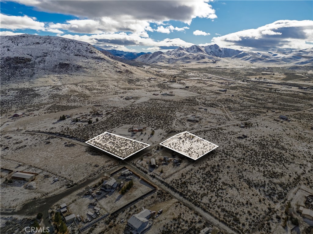 95322 Spring Drive Chilcoot, CA 96105 - Photo 3 of 41 a view of a dry yard with wooden floor