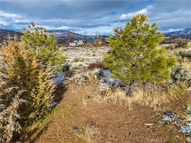 $36,500 | 95322 Spring Drive, Chilcoot, CA 96105