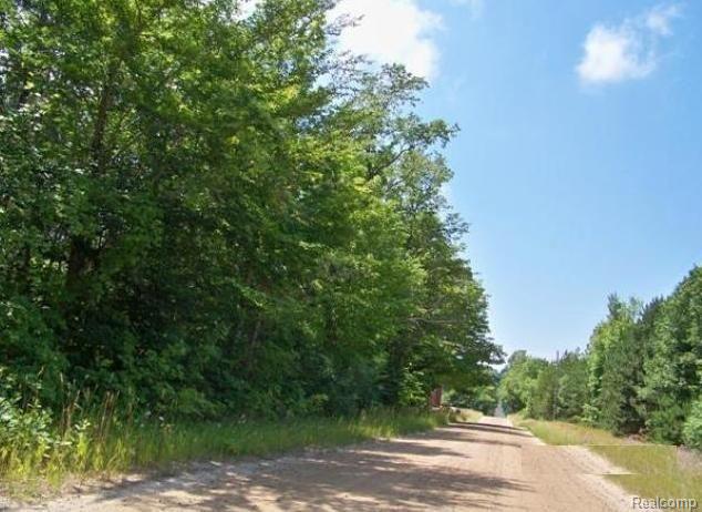5765 Maidens Road Onekama, MI 49675 - Photo 4 of 4 102164910 Street view.JPG