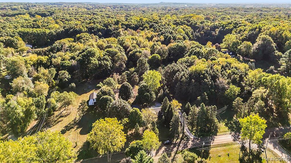 8344 Ellis Road Clarkston, MI 48348 - Photo 9 of 32