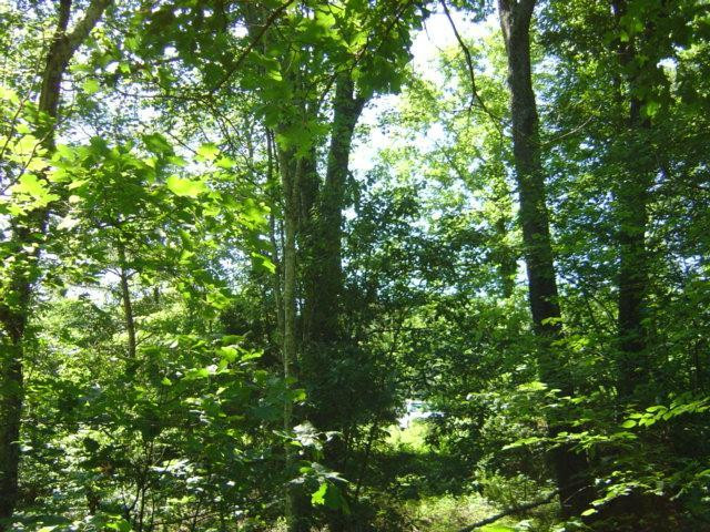 9999 Patton Road London, KY 40744 - Photo 19 of 28 Photo 19