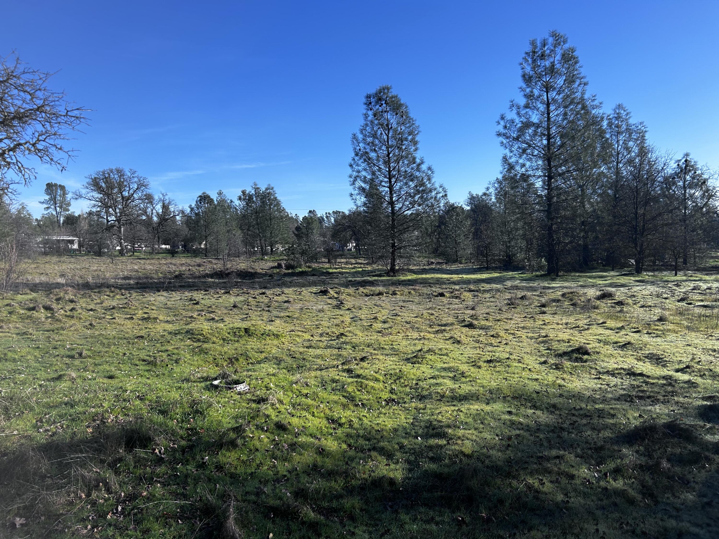 0 Witch Way Redding, CA 96003 - Photo 6 of 12 a view of outdoor space with swimming pool and trees