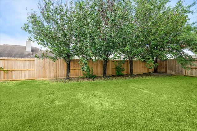 a backyard of a house with lawn chairs and a large tree