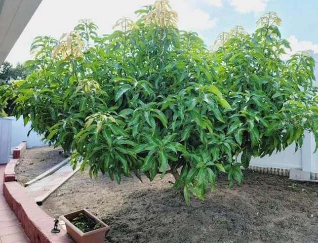 $315,000 | 1918 Crown Park Drive, Valrico, FL 33594