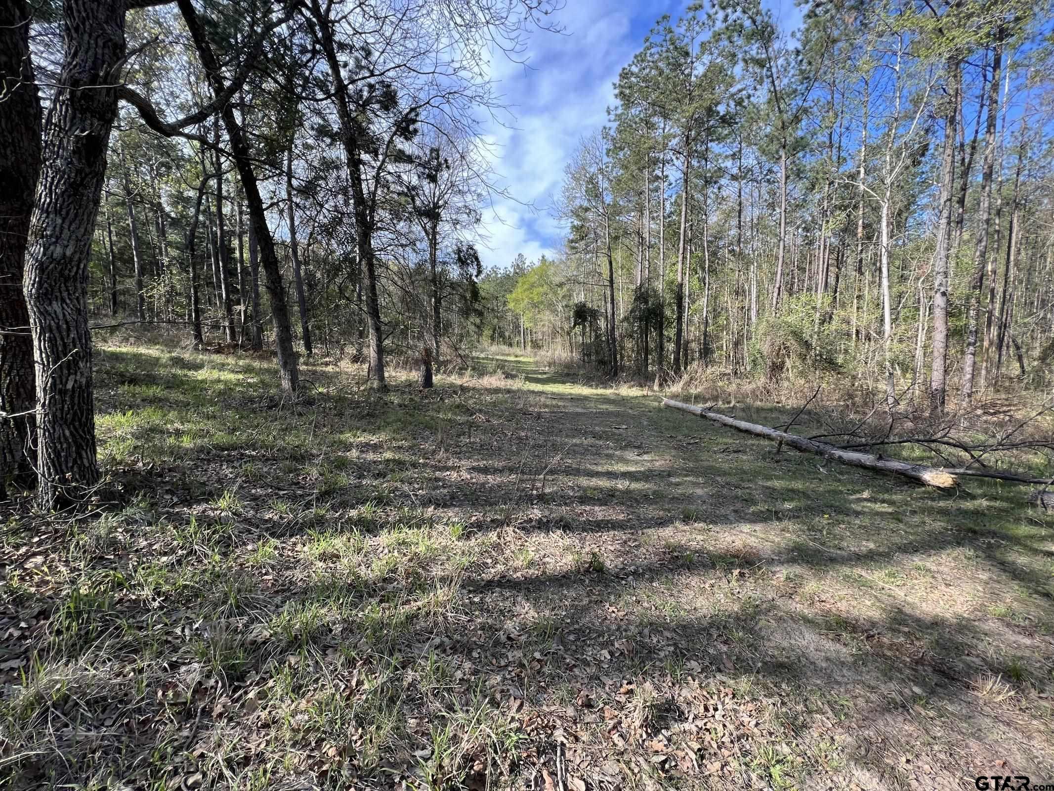0 C R 434 Lindale, TX 75771 - Photo 10 of 29