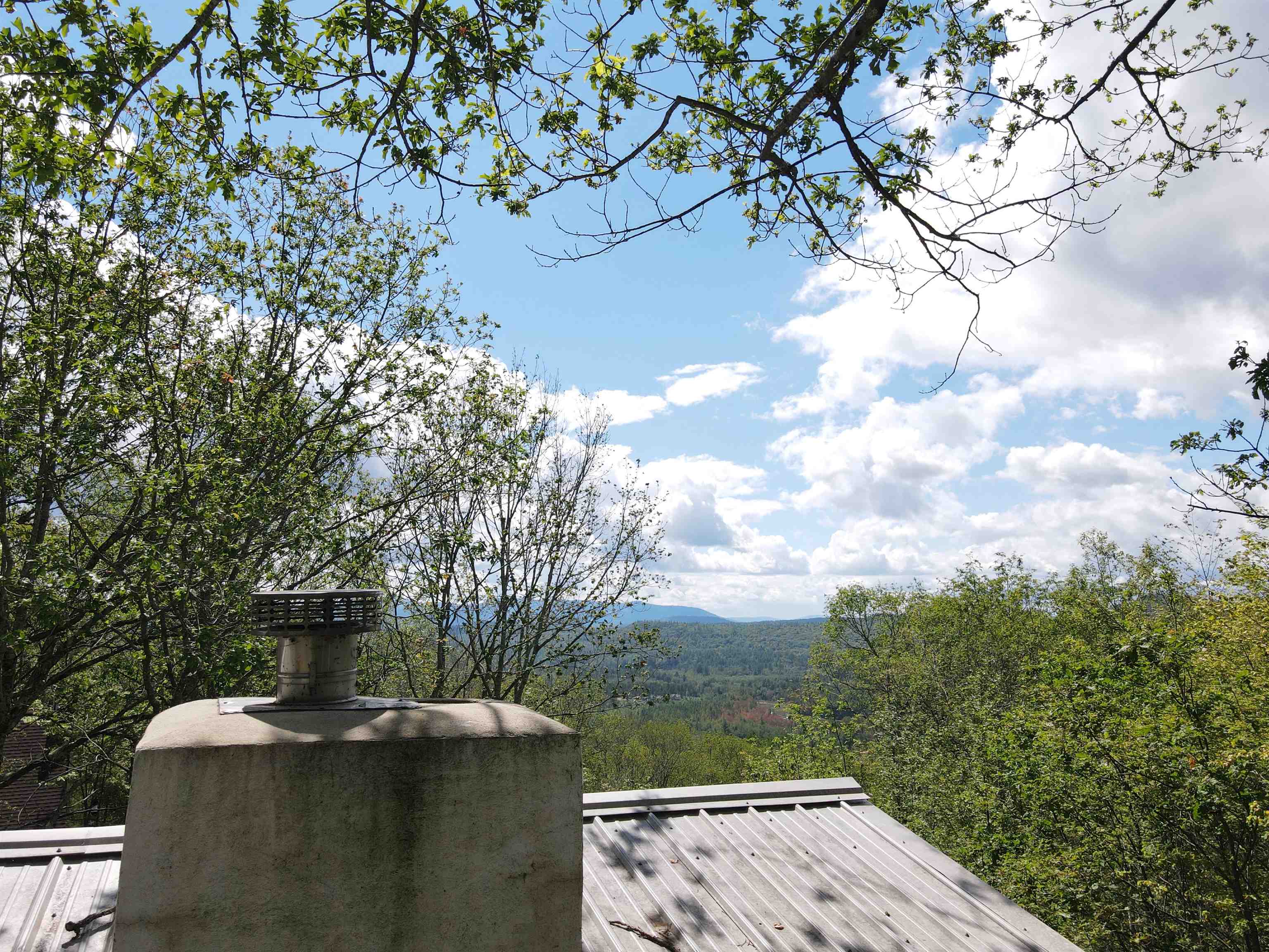46 Oak Ridge Road Madison, NH 03849 - Photo 8 of 25