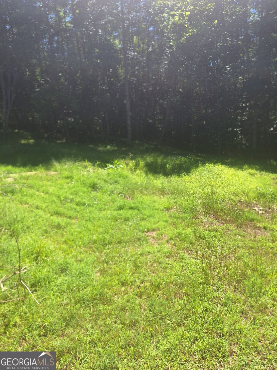 0 Judah Road Morganton, GA 30560 - Photo 3 of 8