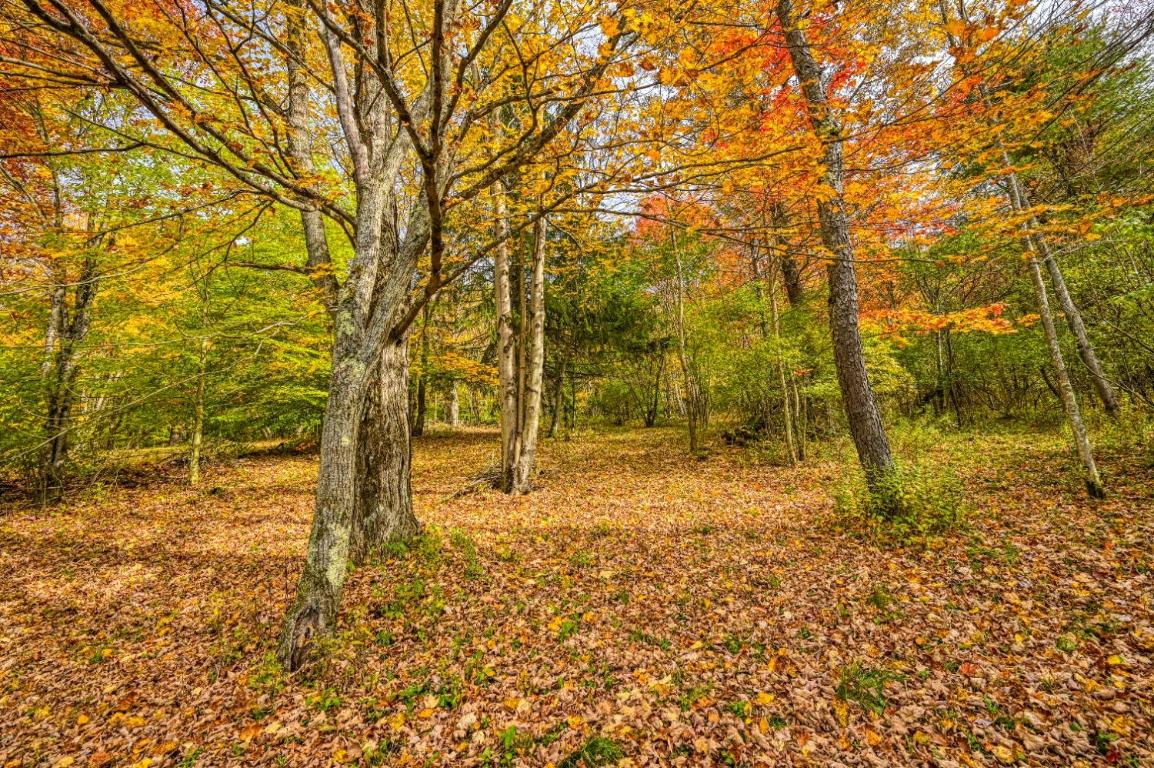 170 Grenier Road Jefferson, NY 12093 - Photo 16 of 78