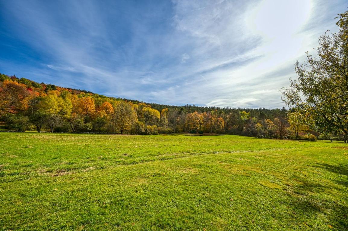 170 Grenier Road Jefferson, NY 12093 - Photo 21 of 78