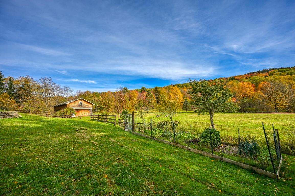 170 Grenier Road Jefferson, NY 12093 - Photo 5 of 78