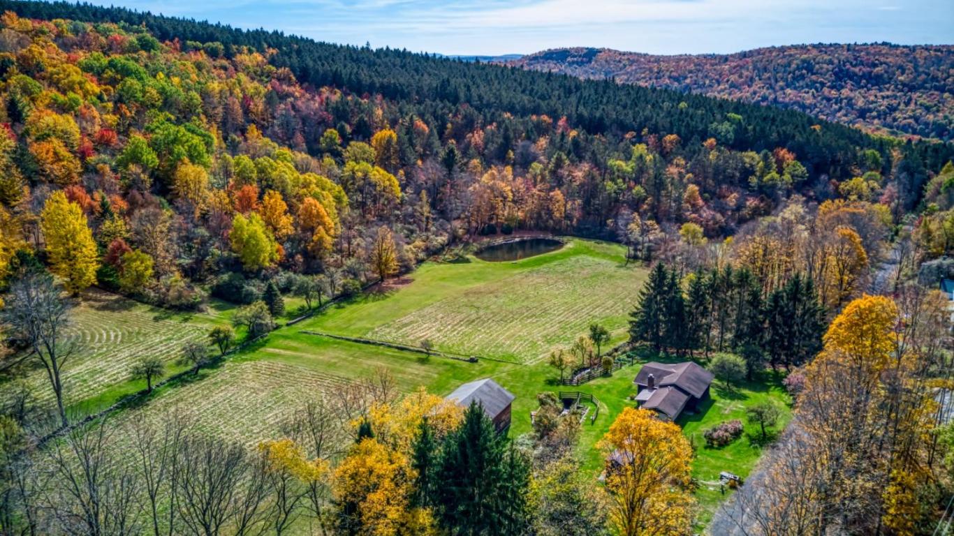 170 Grenier Road Jefferson, NY 12093 - Photo 59 of 78