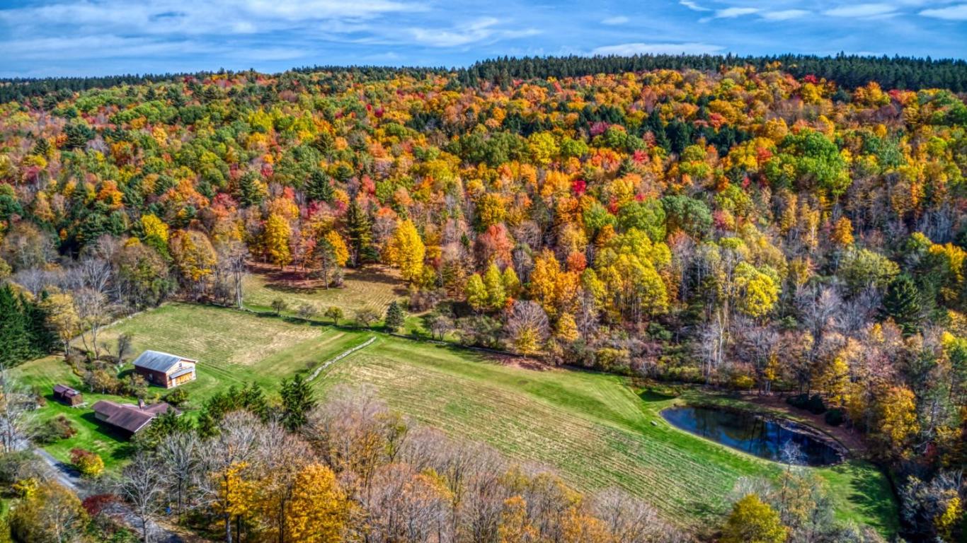 170 Grenier Road Jefferson, NY 12093 - Photo 60 of 78