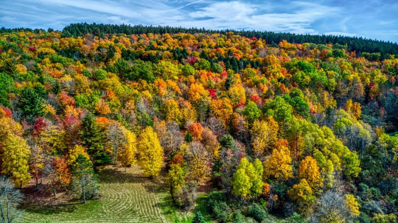 170 Grenier Road Jefferson, NY 12093 - Photo 66 of 78