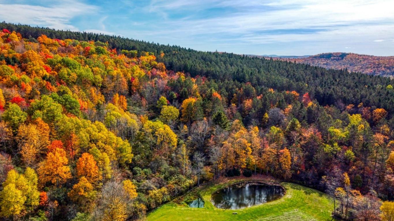 170 Grenier Road Jefferson, NY 12093 - Photo 68 of 78