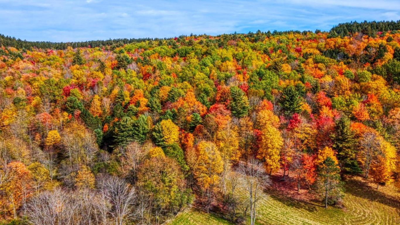 170 Grenier Road Jefferson, NY 12093 - Photo 69 of 78